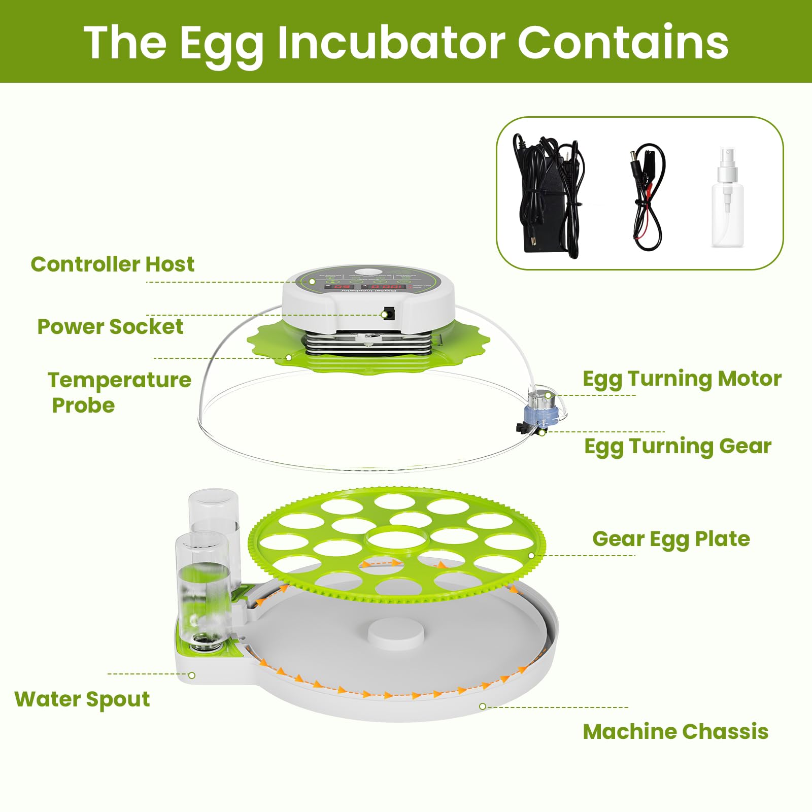 Yonooq easy-clean bottom tray supports quick maintenance after hatching.