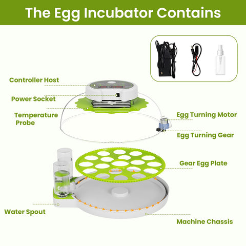 Yonooq easy-clean bottom tray supports quick maintenance after hatching.