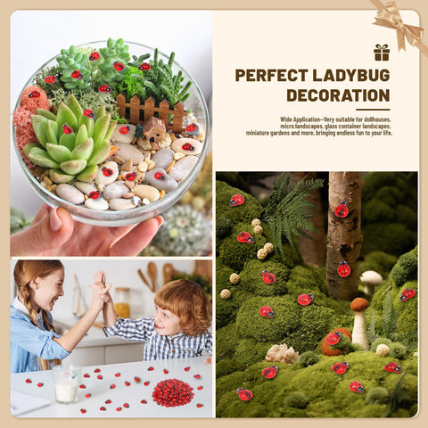 Yonseng glow-ladybug mini in terrarium decor adds glow