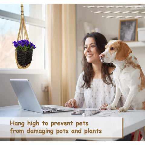 Yookeer 4-inch orchid pot on adjustable hook for versatile display.