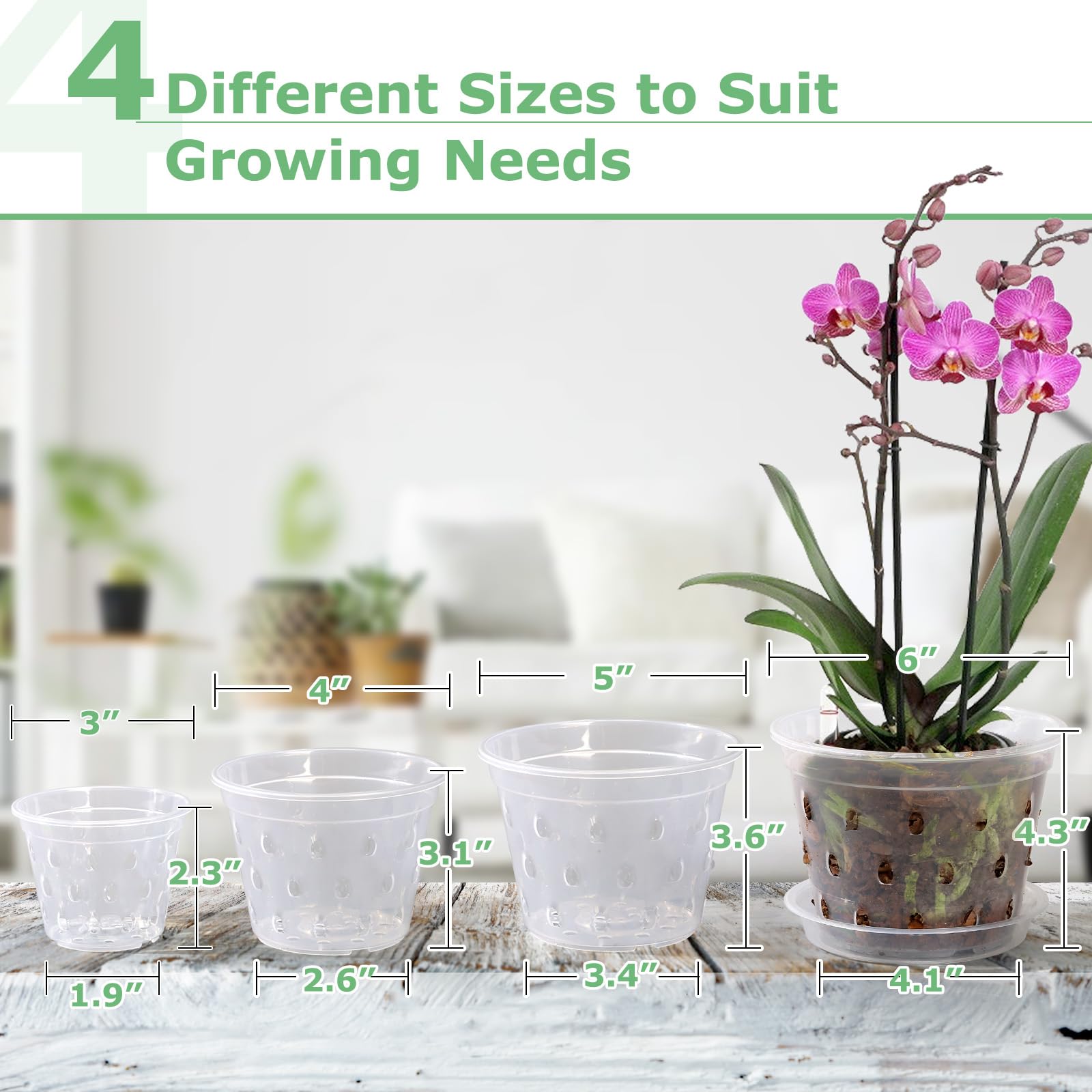 YOPIKUU orchid pot 5-inch clear body highlights root health on bright days