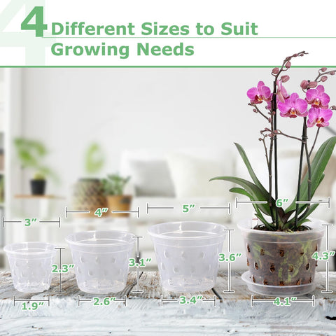 YOPIKUU orchid pot 5-inch clear body highlights root health on bright days