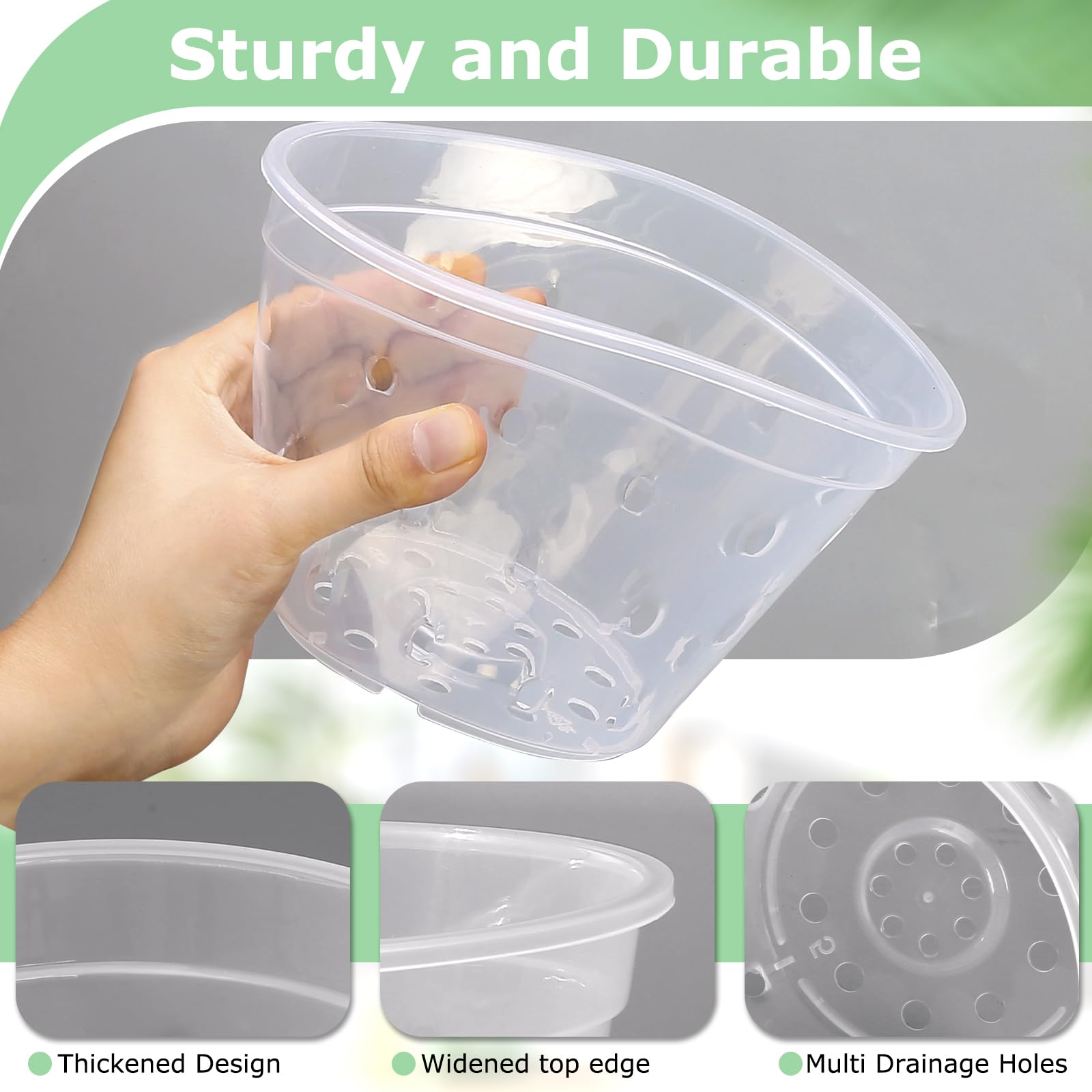 YOPIKUU 6-inch clear orchid pot shows root growth and soil moisture clearly.