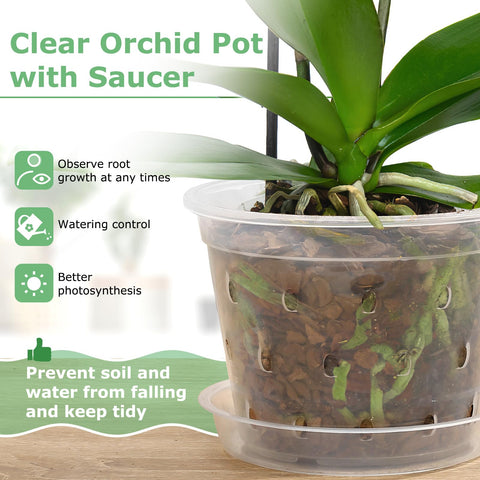 YOPIKUU orchid pot clear design lets sunlight reach roots for healthier growth.