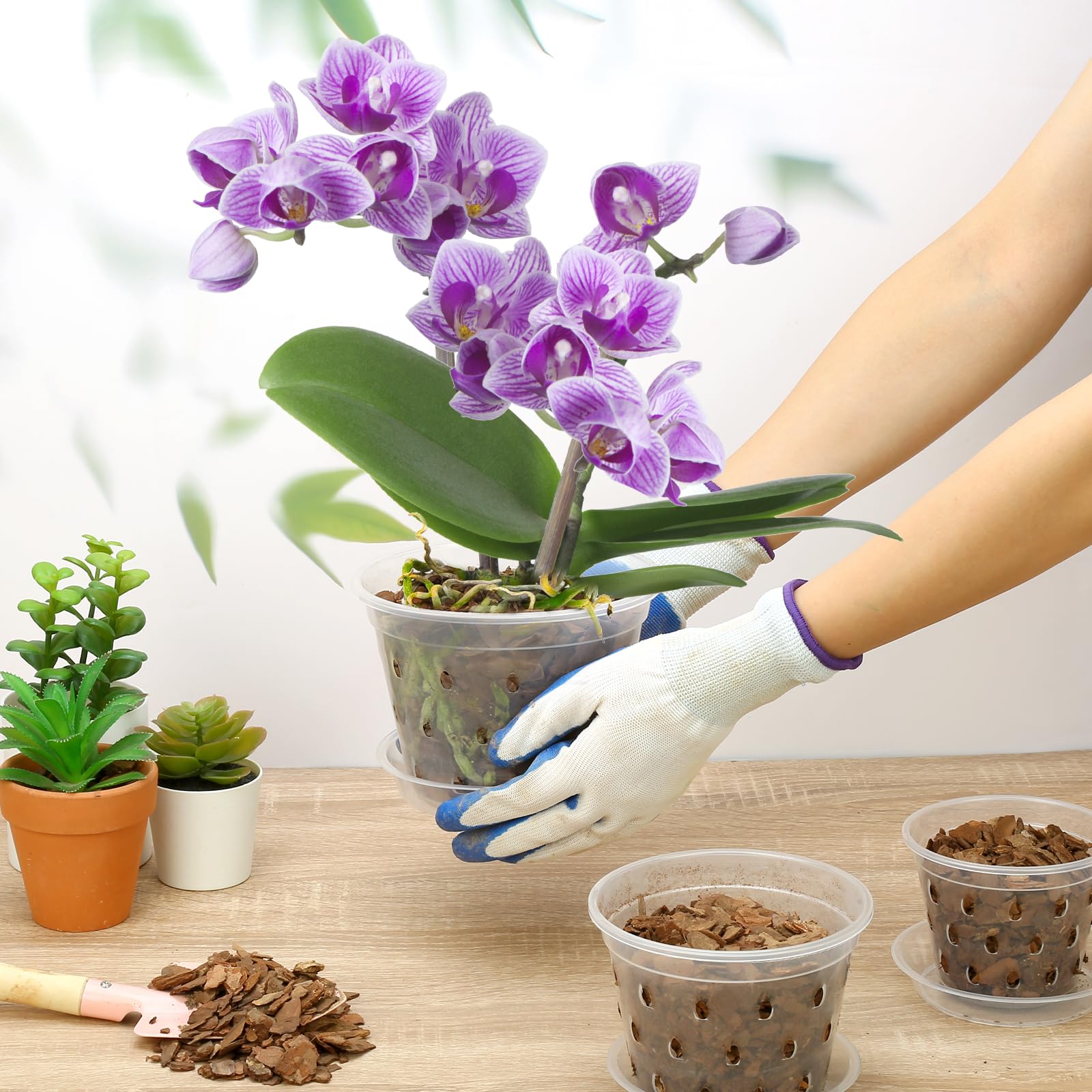 YOPIKUU vented orchid pot highlights air flow and drainage for healthy growth