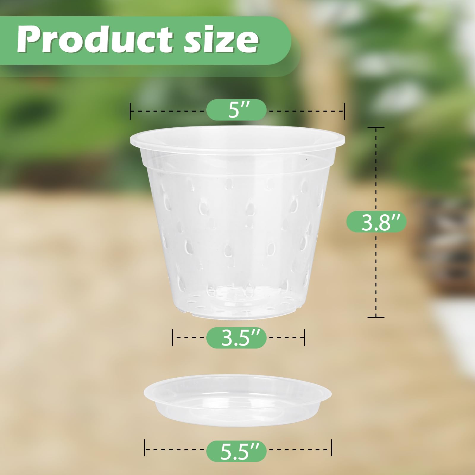 YOPIKUU clear pot showing root view to monitor growth and moisture levels.