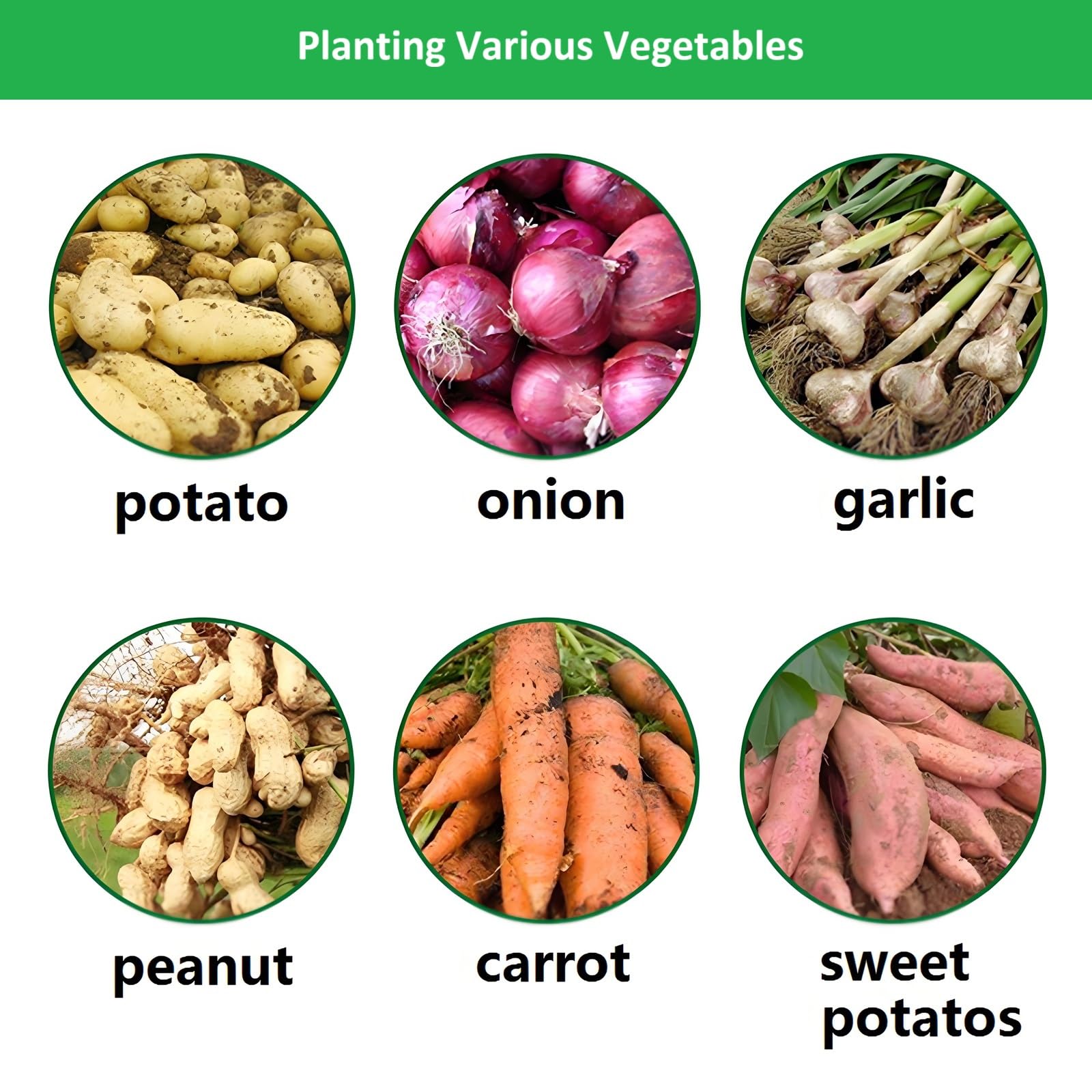 YOQXHY indoor garden setup with 10-gallon potato bags for year-round crops.