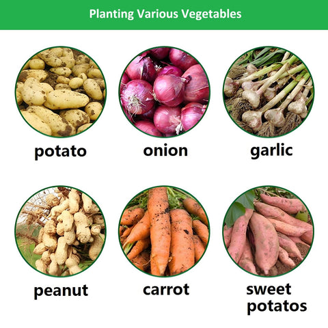 YOQXHY indoor garden setup with 10-gallon potato bags for year-round crops.