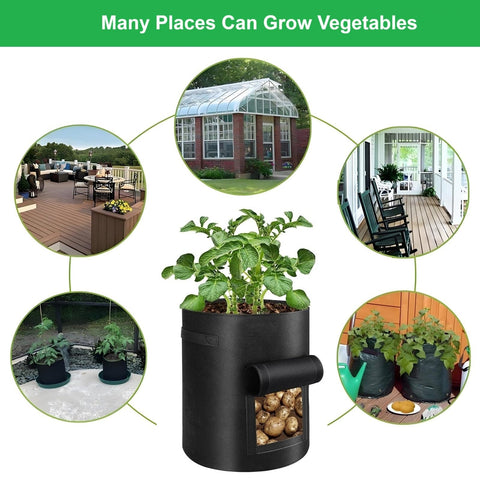 YOQXHY plant potatoes taro radish onions with these versatile planters.