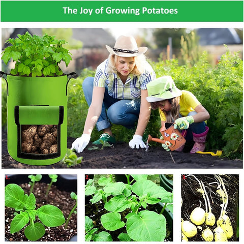 YOQXHY access flap allows quick picking without disturbing soil.