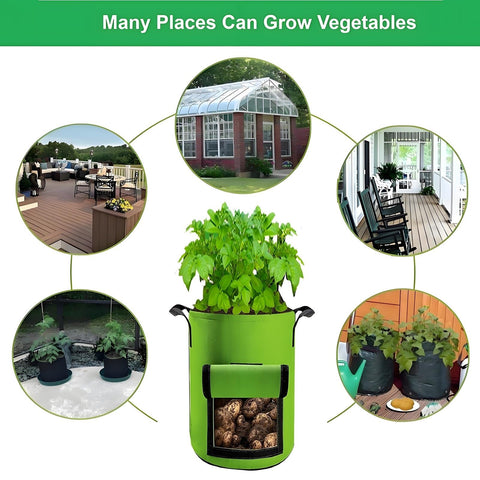 YOQXHY 5-pack compact grow bags for small-space gardens.