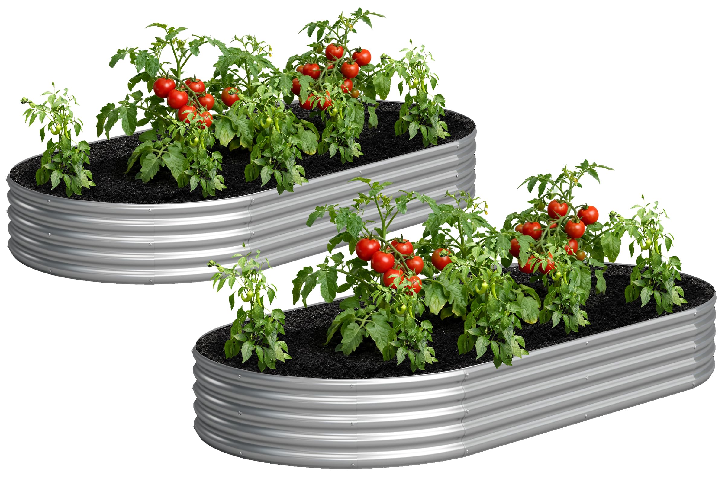 Yortrek oval galvanized raised bed showing ample planting space for vegetables