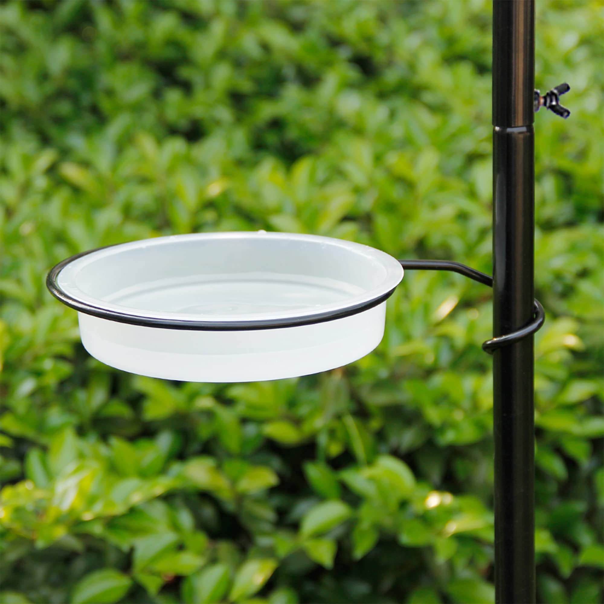 yosager bird bath dish provides water for visiting birds.