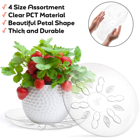 YOUEON 10-inch clear plant tray from the four-size set with grooved bottom.