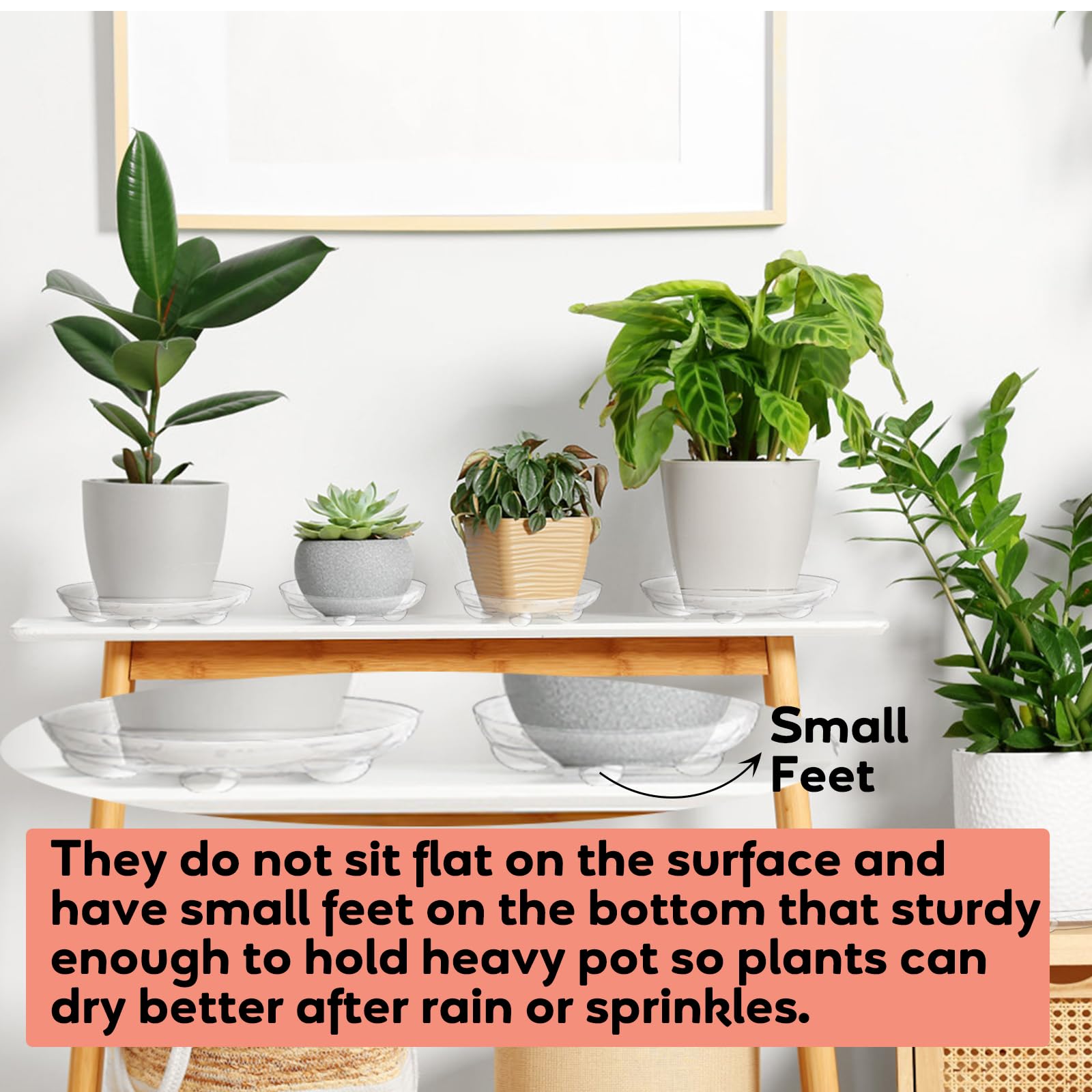 YOUEON 12-inch clear plant tray offers sturdy support for larger pots.