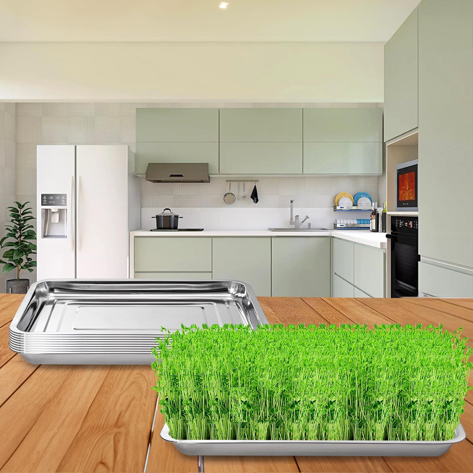 Youeon indoor/outdoor trays ideal for seed starting or washing produce