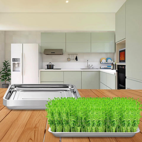 Youeon indoor/outdoor trays ideal for seed starting or washing produce