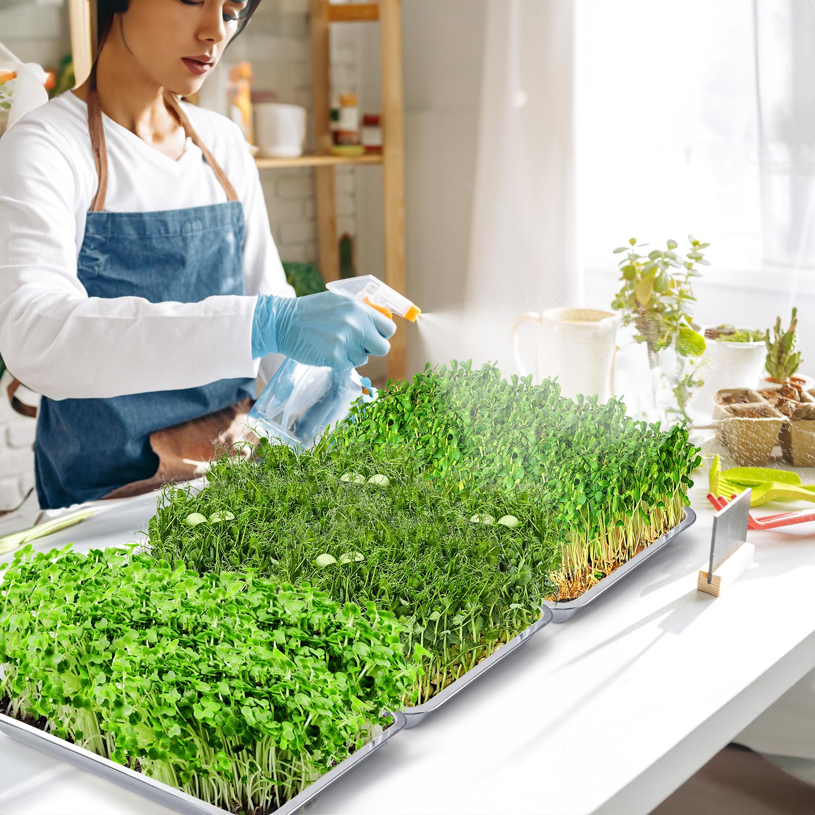 Youeon versatile trays suitable for hydroponics, herbs, and greens