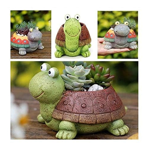 Youfui giftable turtle succulent pot makes thoughtful presents for plant lovers
