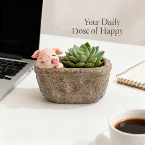 Youfui pig kitchen pot, decorative and functional for herbs.