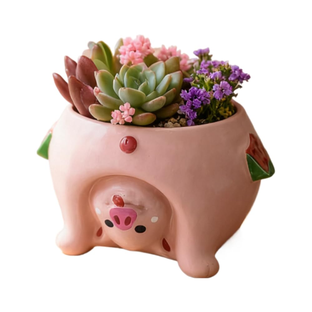 Youfui pig planter showcases a small plant on a shelf display