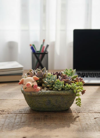 Youfui pig planter with succulent, adds playful charm to home office.