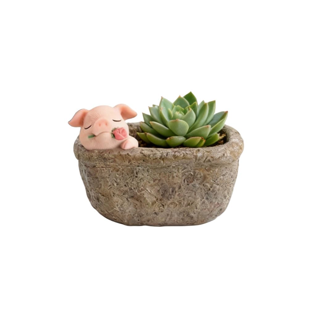 Youfui pig flowerpot, rose design adds whimsy.