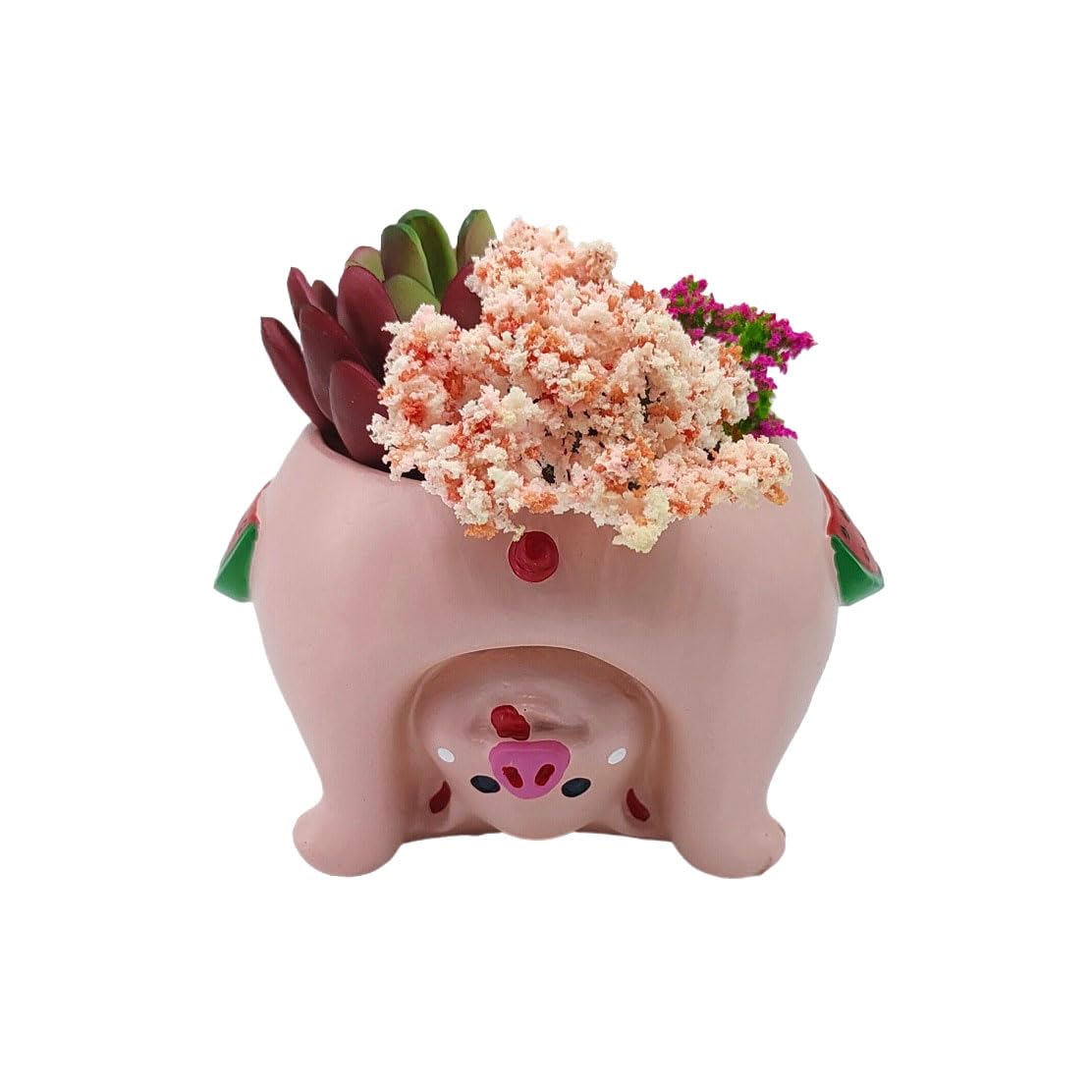 Youfui succulent pig planter with drainage hole for healthy watering