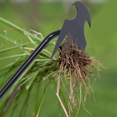 Young4us extended-handle weed puller reaches beds, pots and corners.