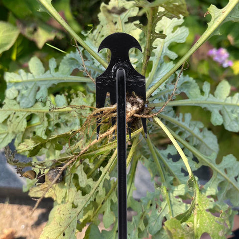 Young4us garden weeder tool designed for crack and corner weed removal.