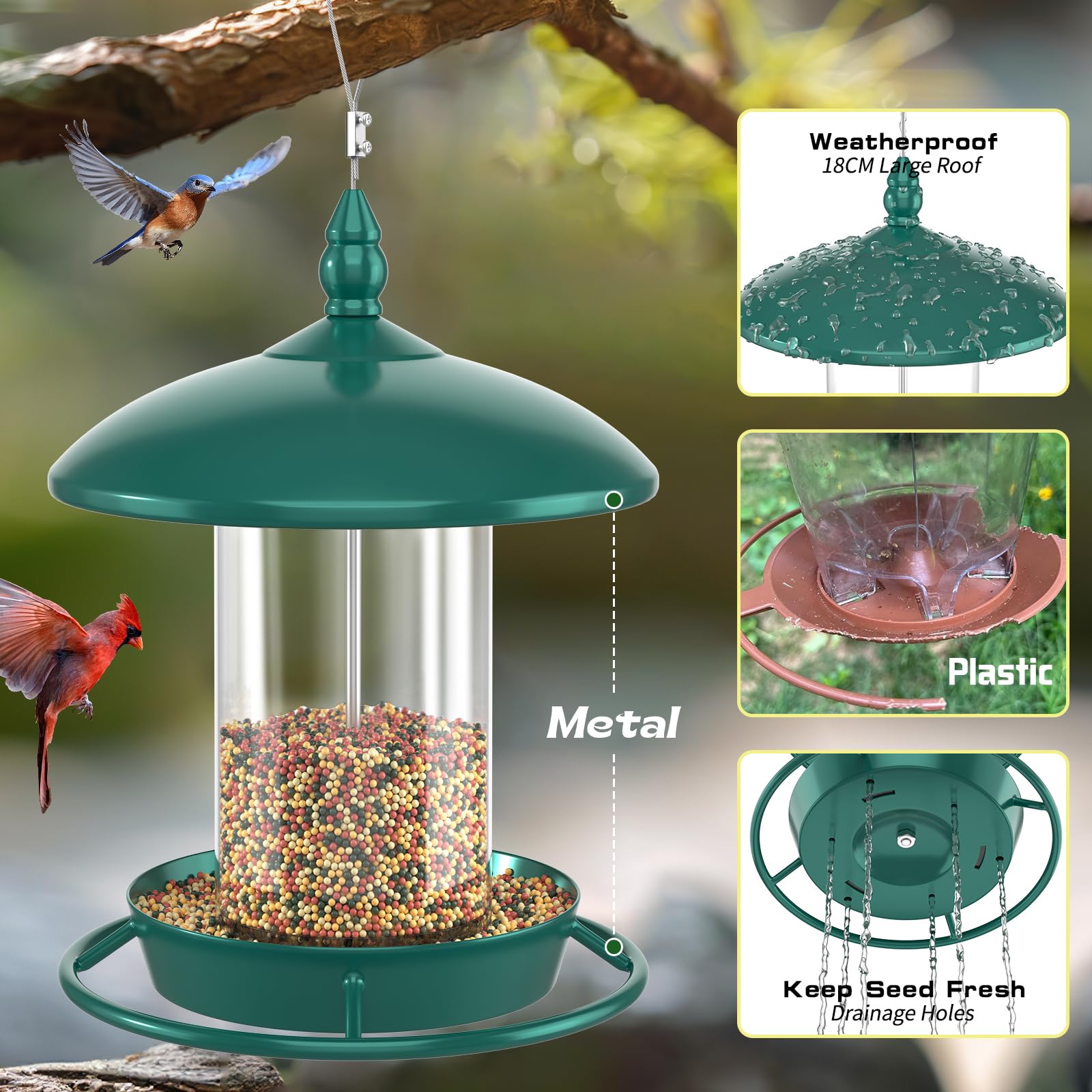 Youvip squirrel-resistant feeders resist nibbling while attracting lively birds.