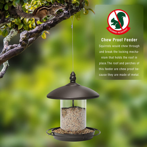 Youvip pack-2 bronze feeder outdoors in rain or shine setting