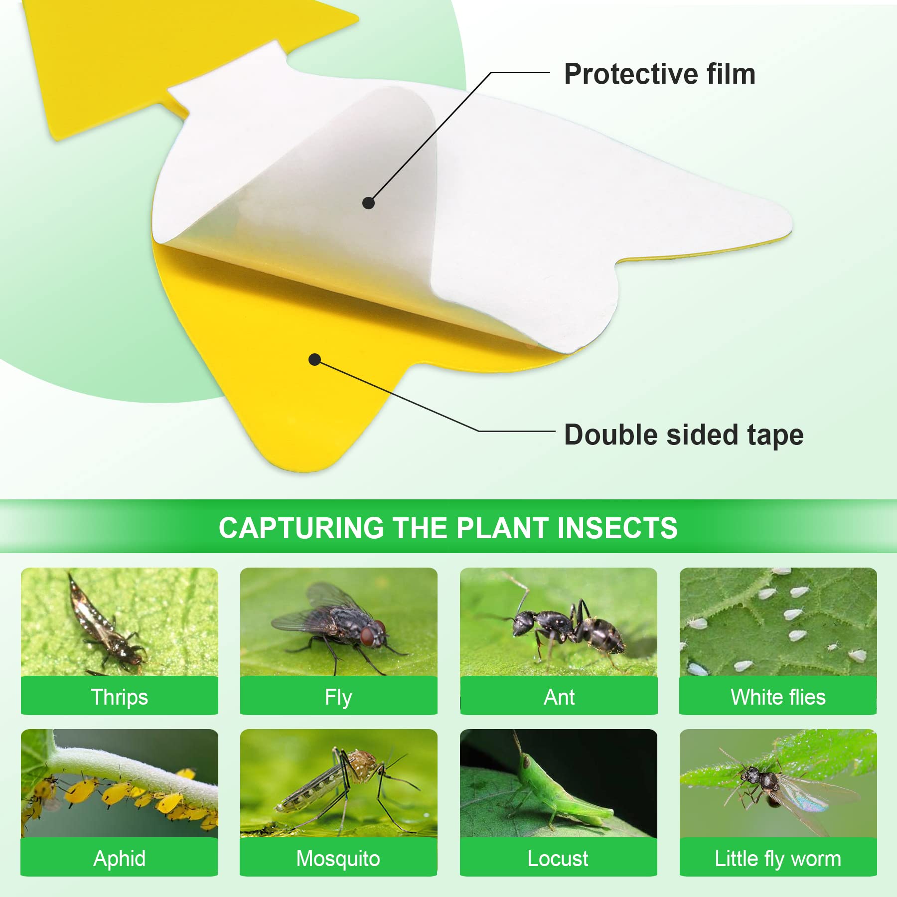 YourDaDa butterfly-shaped traps blending with flowers and catching gnats