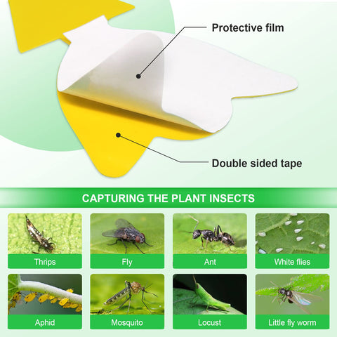 YourDaDa butterfly-shaped traps blending with flowers and catching gnats