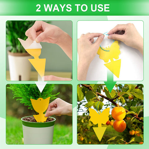 YourDaDa sunflower-shaped traps complement garden decor and trap pests