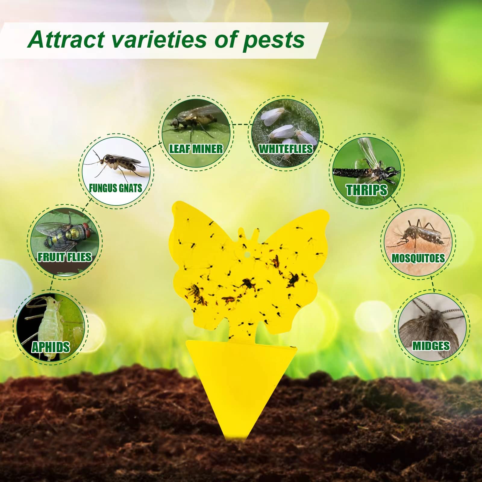 YourDaDa rose trap offers decorative pest control on greenery.
