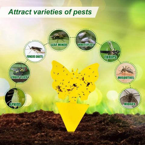 YourDaDa rose trap offers decorative pest control on greenery.