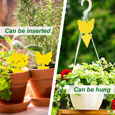 YourDaDa traps for pot placement ease in soil.