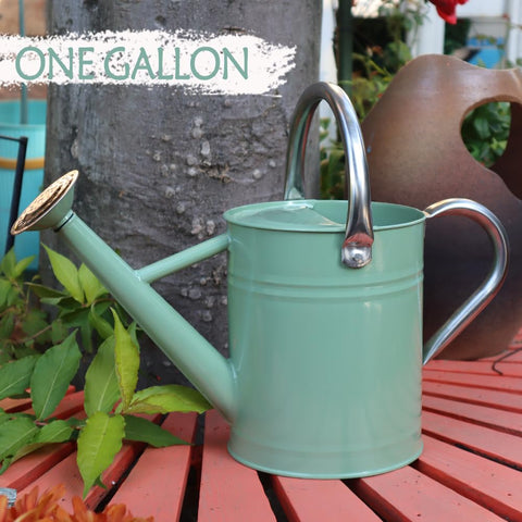 yourjoy cream green garden decor watering can adds elegance while watering plants