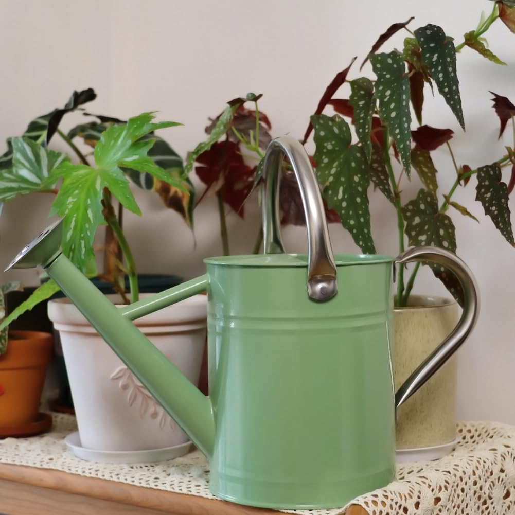 yourjoy cream green water can supports decorative garden styling