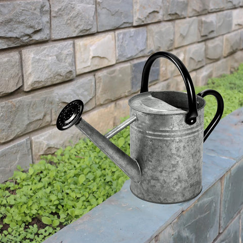Yourjoy gift-ready watering can, a thoughtful housewarming option.