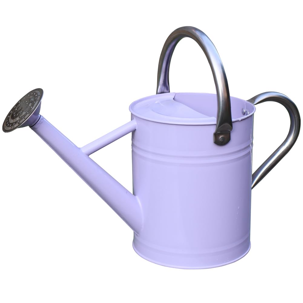Yourjoy metal watering can with one-gallon capacity and stainless steel handle in purple for versatile watering