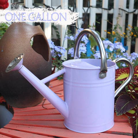 Yourjoy watering can with removable spout for steady stream or gentle shower