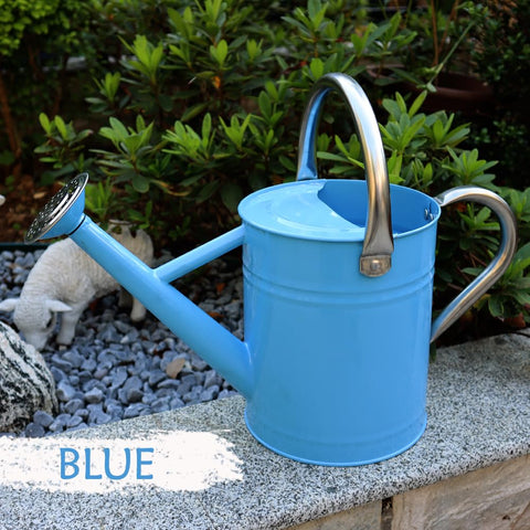 Yourjoy one-gallon watering can suitable for both outdoor and indoor plant care.