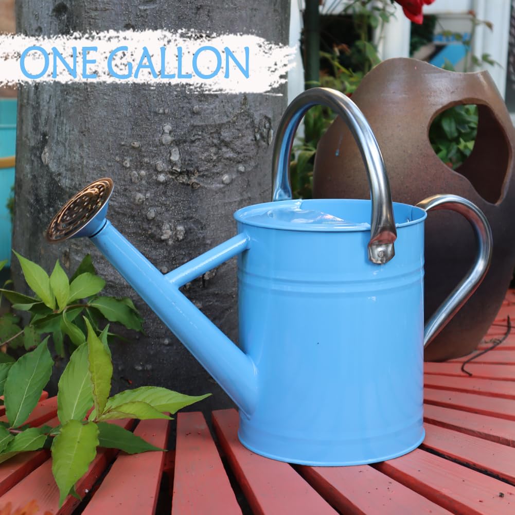 Yourjoy removable spout enables steady stream or gentle shower watering.