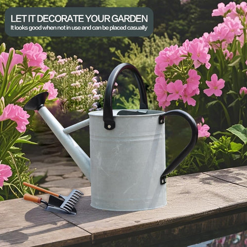 Yourjoy stainless steel watering can with removable spout for versatile watering.
