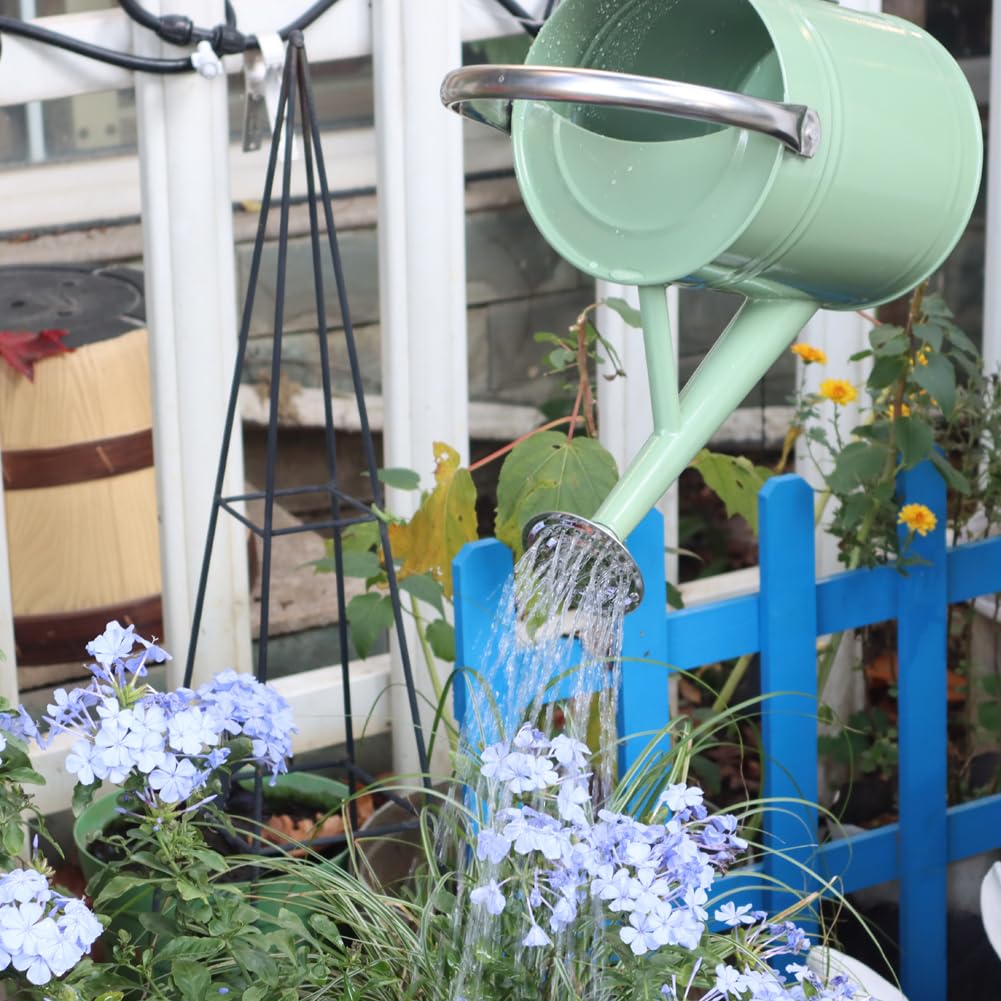 yourjoy watering can with steady stream option for precise planting