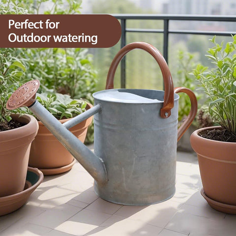 yourjoy decorative watering can doubles as a planter with stylish zinc finish