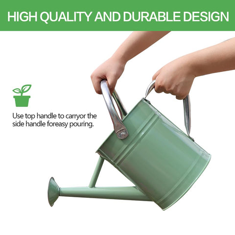 yourjoy stainless steel watering can with removable spout for versatile watering
