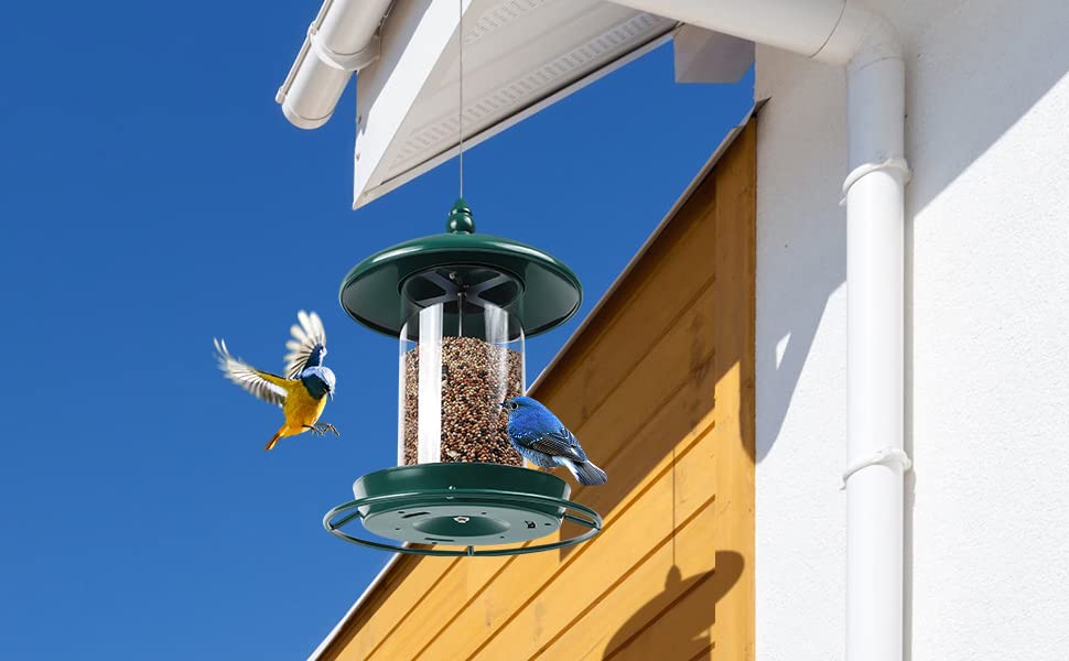 Youvip bird feeder fully disassembled for thorough cleaning and maintenance.